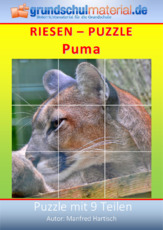 Riesenpuzzle_Puma.pdf
